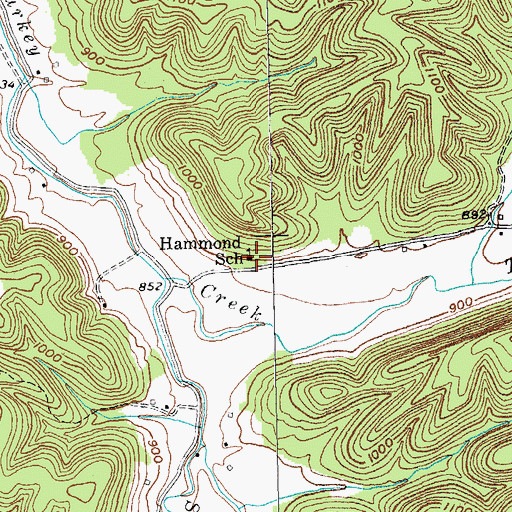 Topographic Map of Hammond School, KY