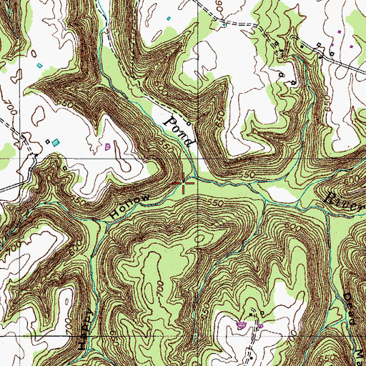 Topographic Map of Happy Hollow, KY