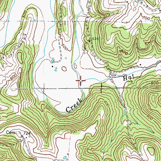 Topographic Map of Hat Branch, KY