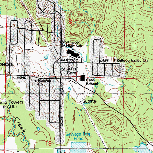 Topographic Map of Gibson Cemetery, AR