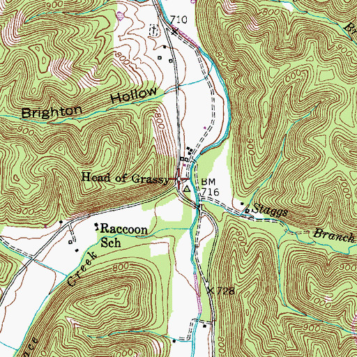Topographic Map of Head of Grassy, KY