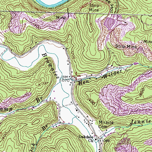 Topographic Map of Hen Wilder Branch, KY