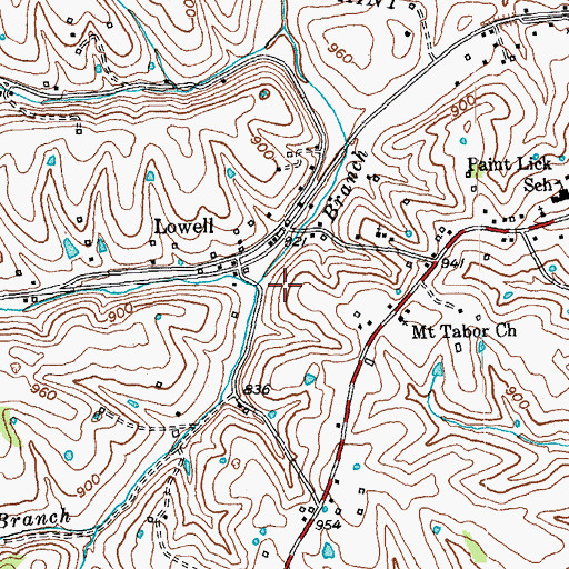 Topographic Map of Henderson Branch, KY