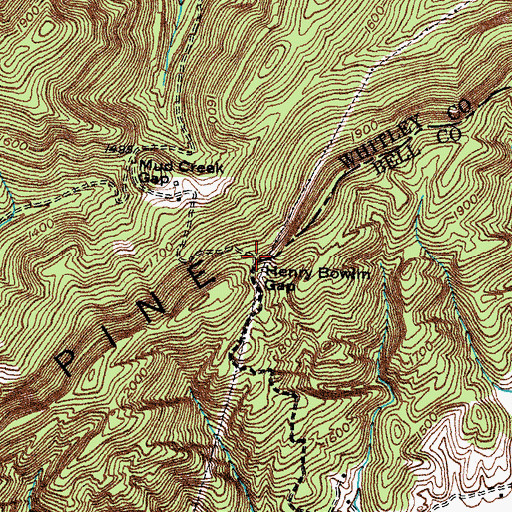 Topographic Map of Henry Bowlin Gap, KY
