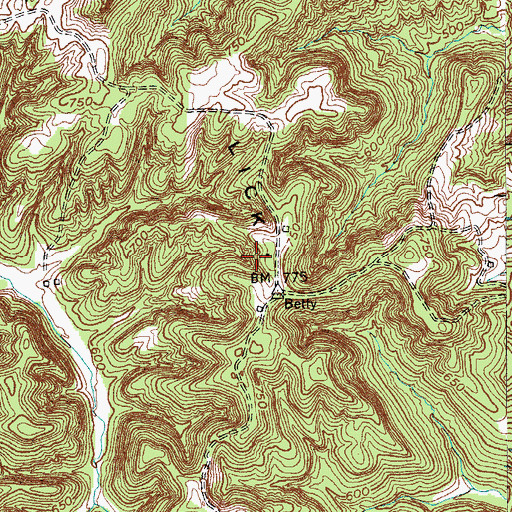 Topographic Map of Hickory Lick Ridge, KY