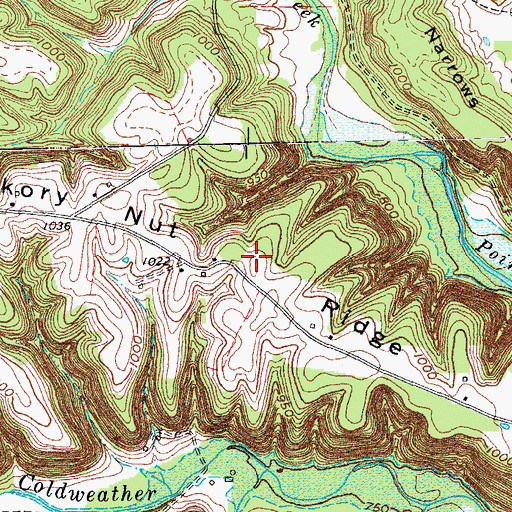 Topographic Map of Hickory Nut Ridge, KY
