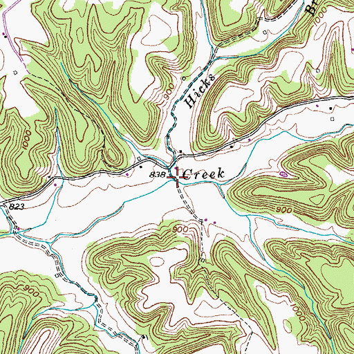 Topographic Map of Hicks Branch, KY