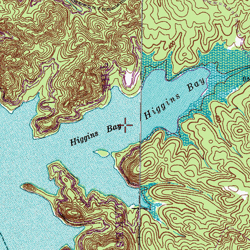 Topographic Map of Higgins Bay, KY