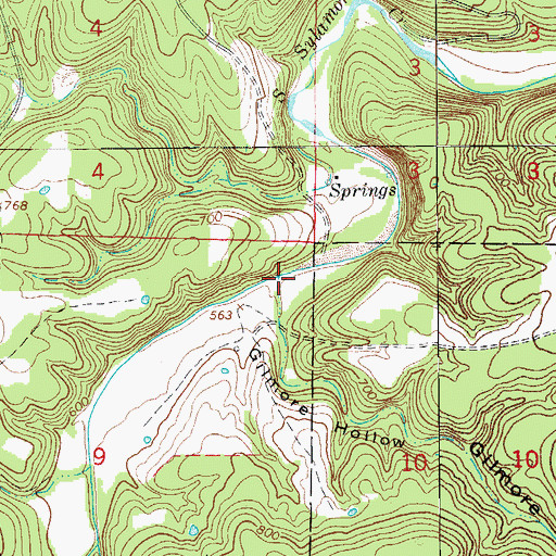Topographic Map of Gilmore Hollow, AR