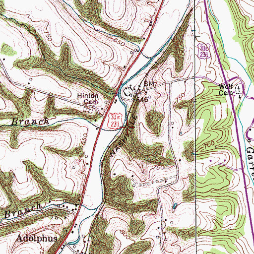 Topographic Map of Hinton Branch, KY