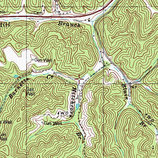 Topographic Map of Hitchcork Branch, KY