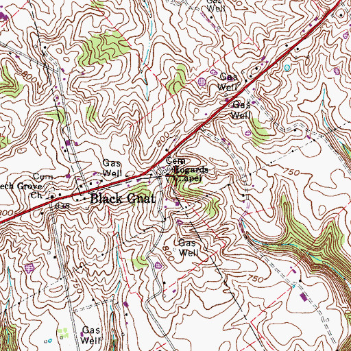 Topographic Map of Hogards Chapel, KY
