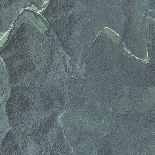Aerial/Satellite Image of Holley Branch, KY