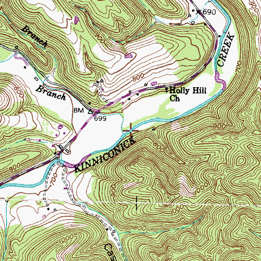 Topographic Map of Holly Branch, KY