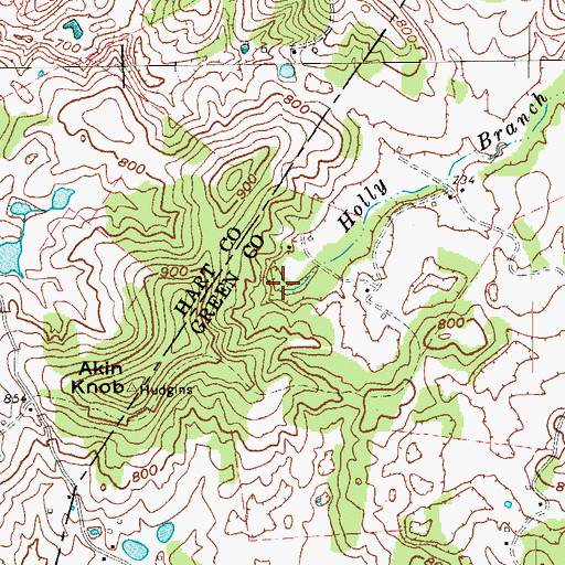 Topographic Map of Holly Branch, KY