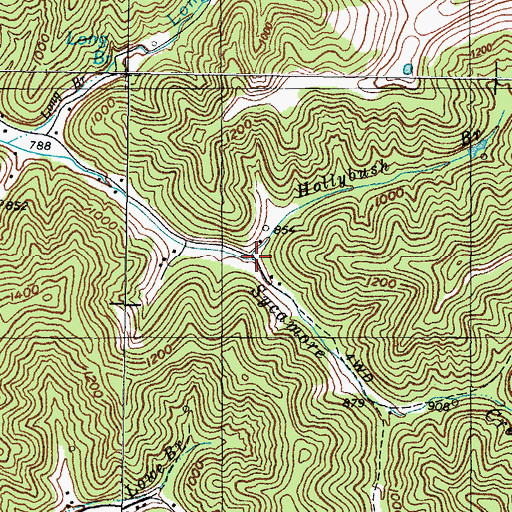 Topographic Map of Hollybush Branch, KY