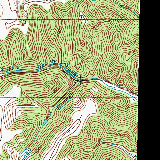 Topographic Map of Honey Branch, KY
