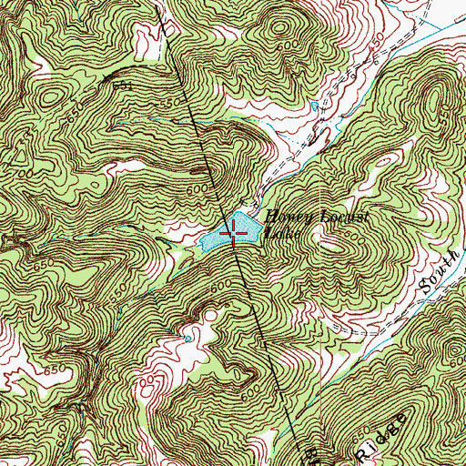 Topographic Map of Honey Locust Lake, KY