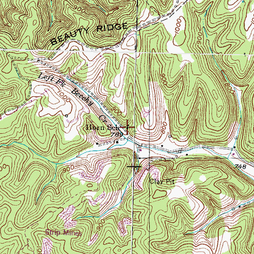 Topographic Map of Horn School, KY