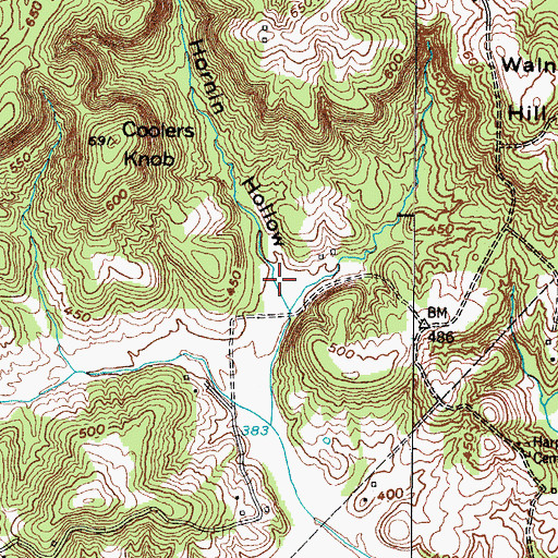 Topographic Map of Hornin Hollow, KY