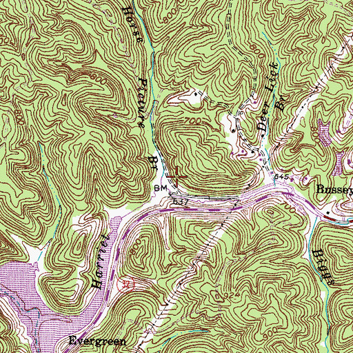Topographic Map of Horse Picture Branch, KY