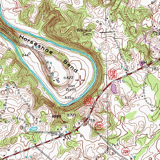Topographic Map of Horseshoe Bend, KY