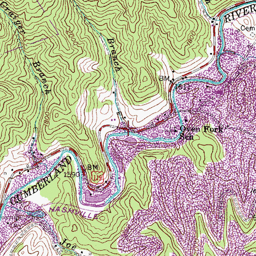 Topographic Map of Horseshoe Branch, KY