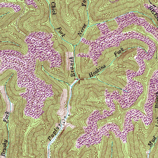 Topographic Map of Hoskins Fork, KY