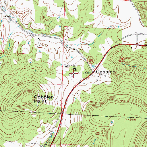 Topographic Map of Gobbler Church, AR