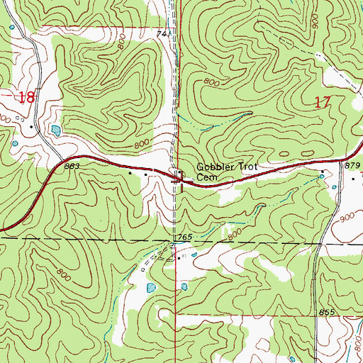 Topographic Map of Gobbler Trot Cemetery, AR