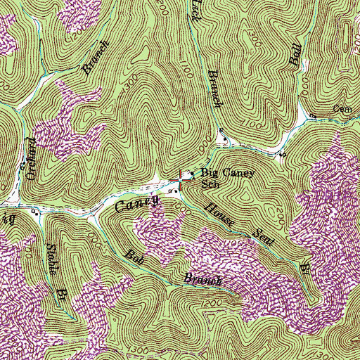 Topographic Map of House Seat Branch, KY