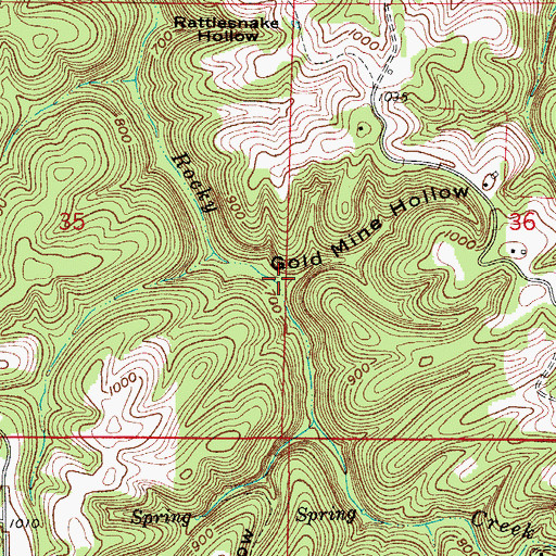 Topographic Map of Gold Mine Hollow, AR