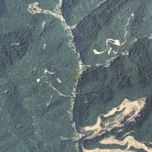 Aerial/Satellite Image of Hurricane Branch, KY