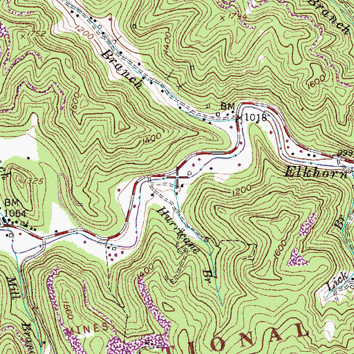 Topographic Map of Hurricane Branch, KY