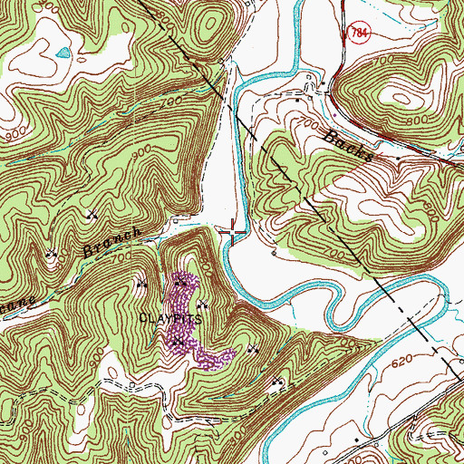 Topographic Map of Hurricane Branch, KY