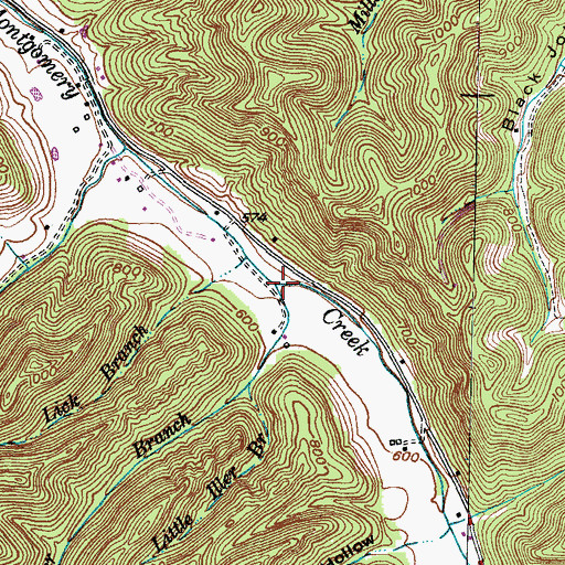 Topographic Map of Iller Branch, KY