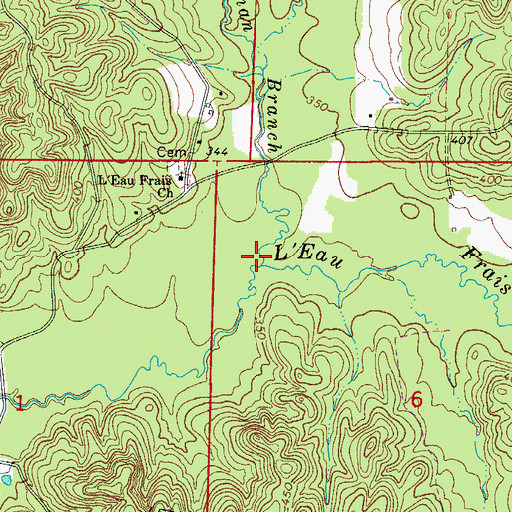 Topographic Map of Goodman Branch, AR