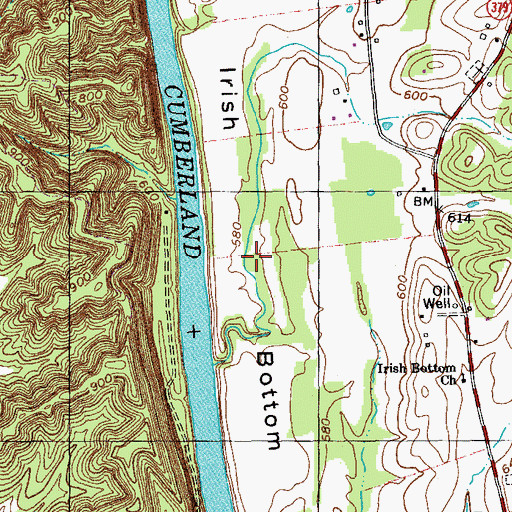 Topographic Map of Irish Bottom, KY