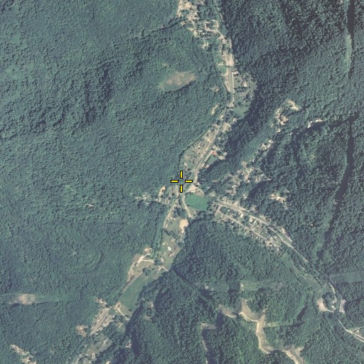 Aerial/Satellite Image of Irvin Branch, KY