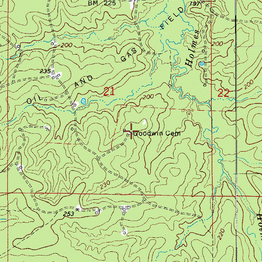 Topographic Map of Goodwin Cemetery, AR