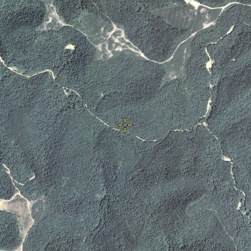 Aerial/Satellite Image of Jack Branch, KY