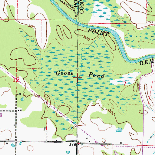 Topographic Map of Goose Pond, AR