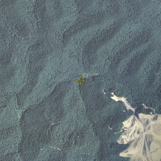 Aerial/Satellite Image of Jakes Branch, KY