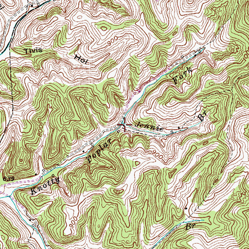 Topographic Map of Jennie Branch, KY