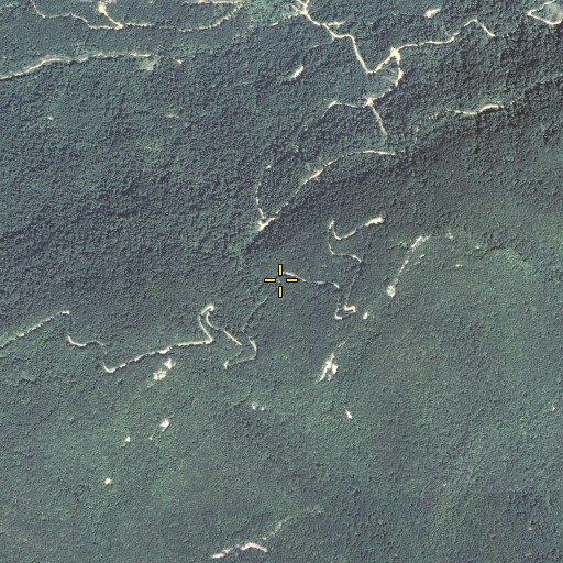 Aerial/Satellite Image of Jesse Gap, KY