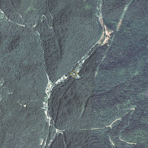Aerial/Satellite Image of John Branch, KY