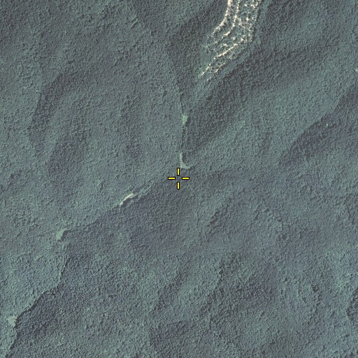 Aerial/Satellite Image of John Carpenter Fork, KY