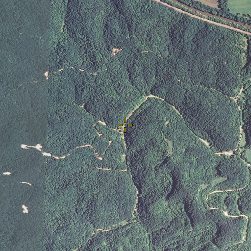 Aerial/Satellite Image of Johns Branch, KY