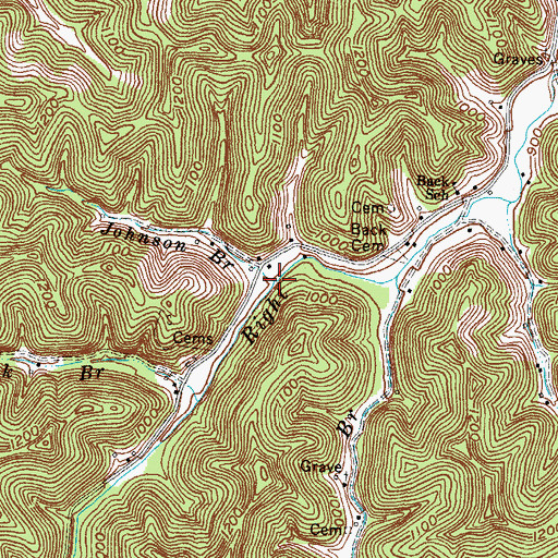 Topographic Map of Johnson Branch, KY