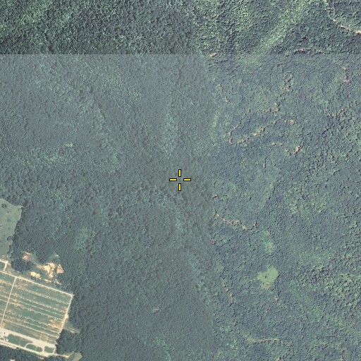 Aerial/Satellite Image of Johnson Branch, KY